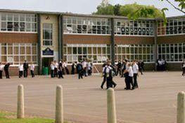 Pest Control Service for School