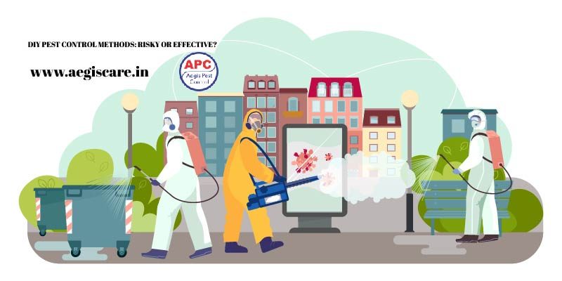 DIY Pest Control Methods Risky Or Effective? A pest is a living, expanding organism can harm plants, people, buildings contact aegiscare.in